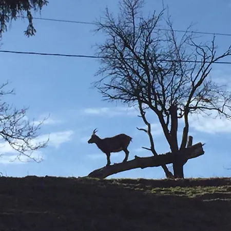 아파트 Uschi Willibald Wackersberg