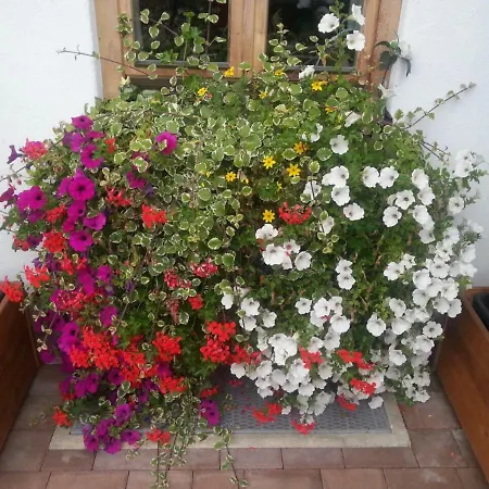 Uschi Willibald Apartament *