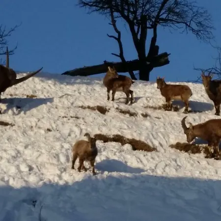 Uschi Willibald * Wackersberg